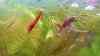 rifatto giorno 0559.jpeg - 2025:08:10 19:50:52
